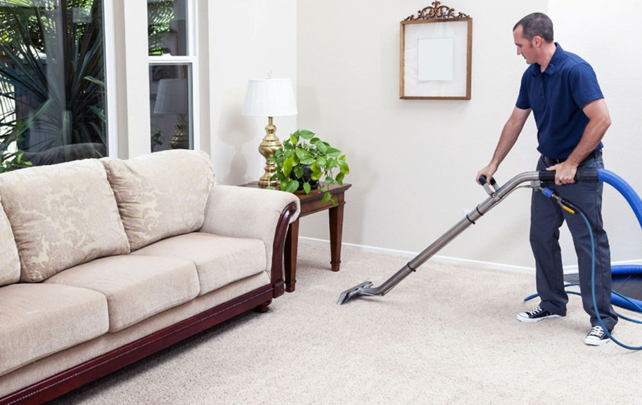 dundas carpet cleaning services near me